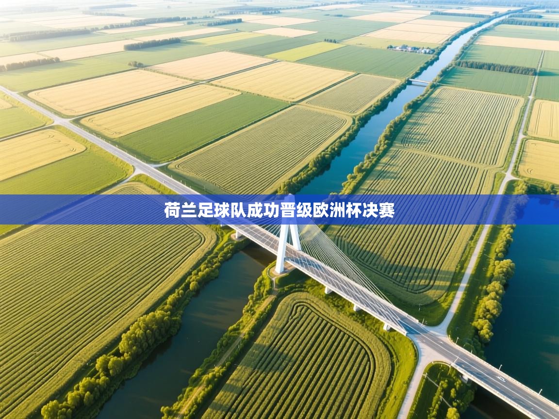 开云体育英文版入口-荷兰足球队成功晋级欧洲杯决赛  第2张