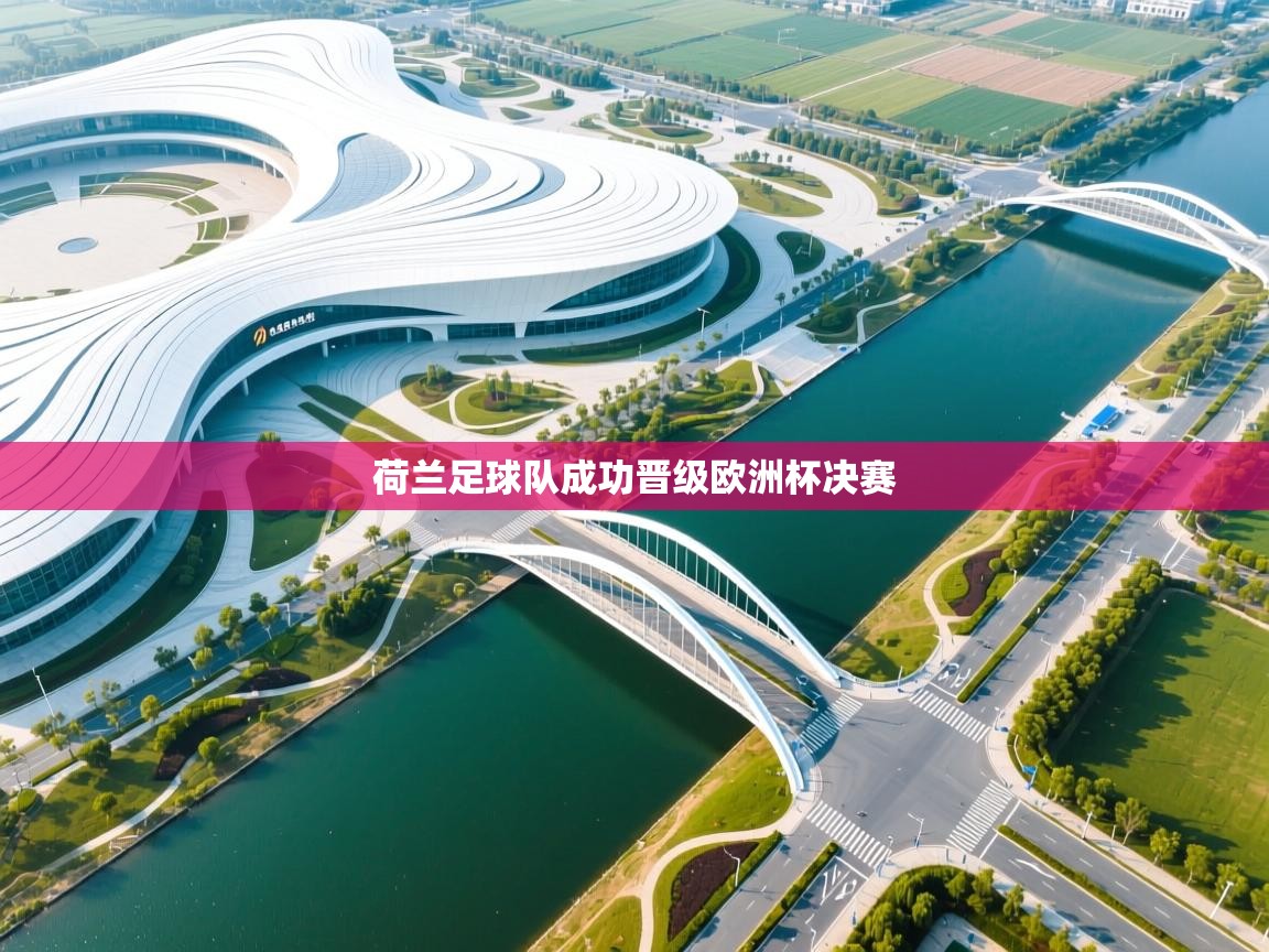 开云体育英文版入口-荷兰足球队成功晋级欧洲杯决赛  第3张