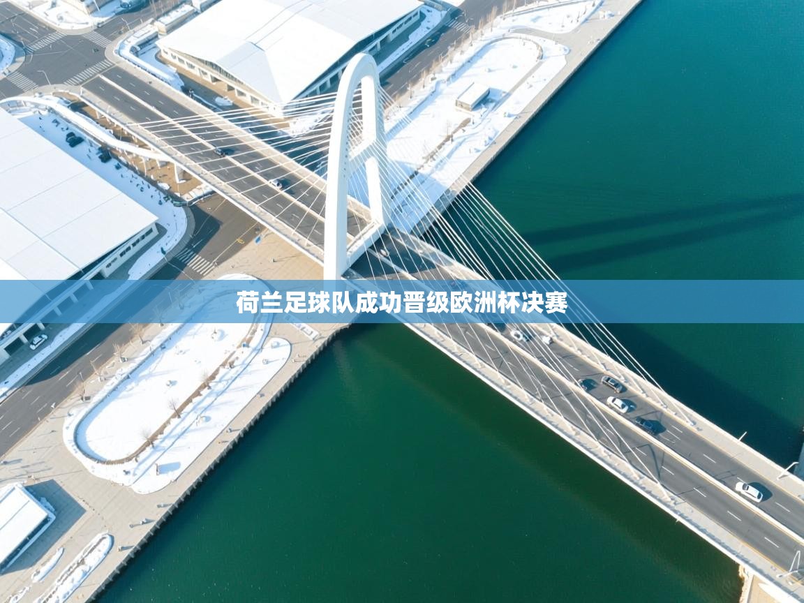 开云体育英文版入口-荷兰足球队成功晋级欧洲杯决赛  第4张