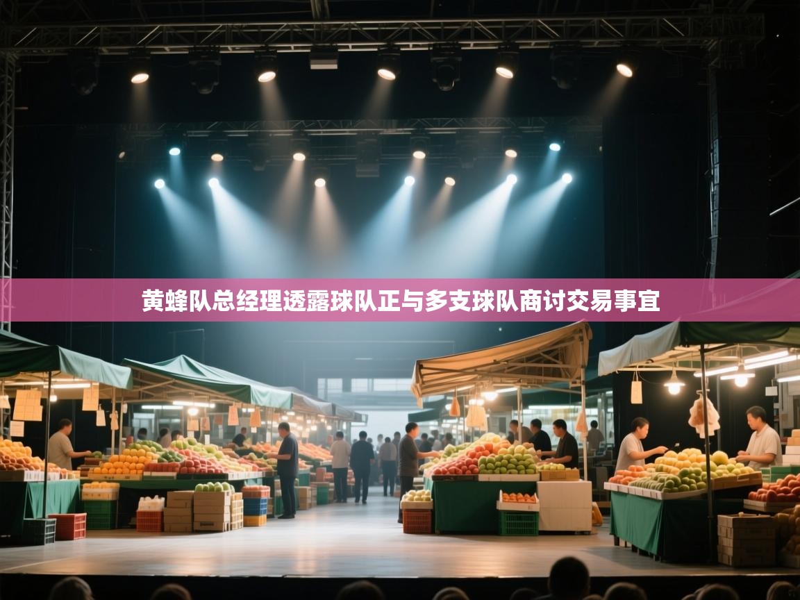 开云体育app官网-黄蜂队总经理透露球队正与多支球队商讨交易事宜 开云体育app官网-黄蜂队总经理透露球队正与多支球队商讨交易事宜