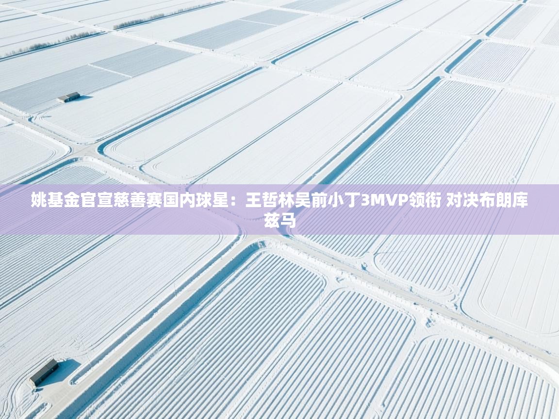 开云数据-姚基金官宣慈善赛国内球星：王哲林吴前小丁3MVP领衔 对决布朗库兹马