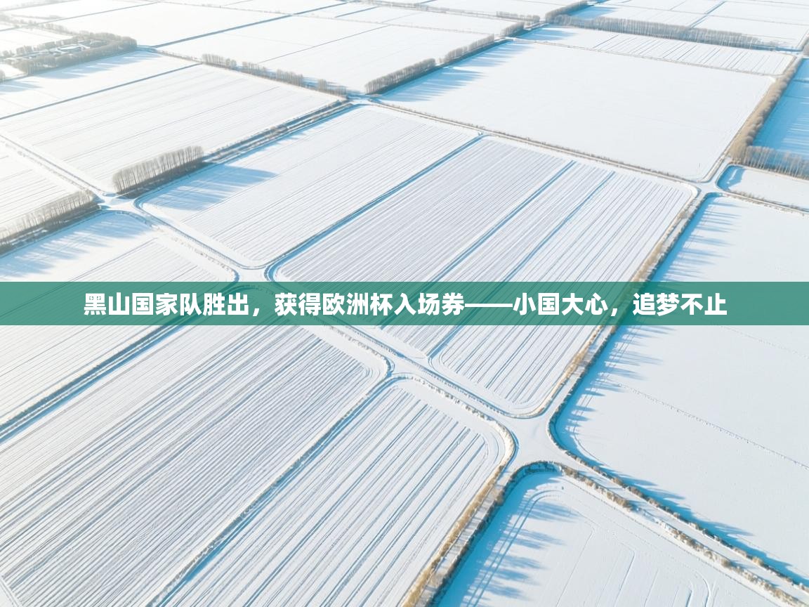 开云邀请码-黑山国家队胜出，获得欧洲杯入场券——小国大心，追梦不止